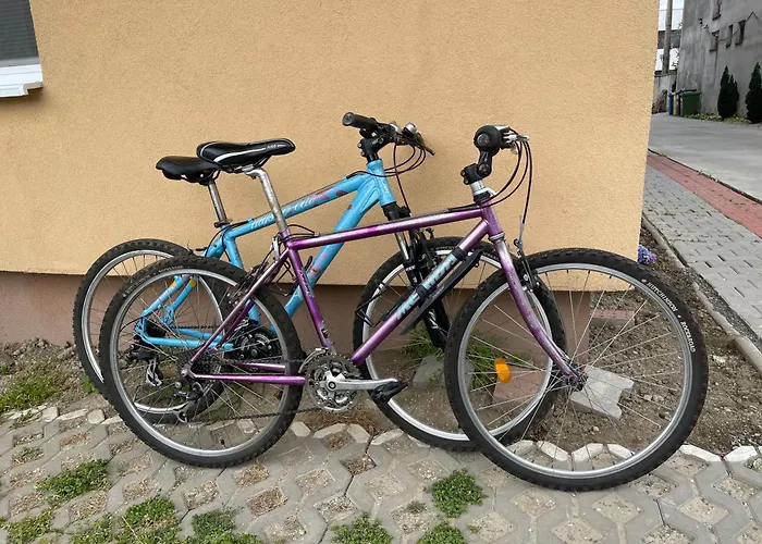 Design 布拉迪斯拉发