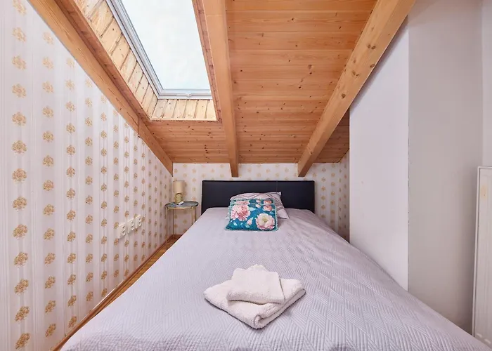 Design * 布拉迪斯拉发