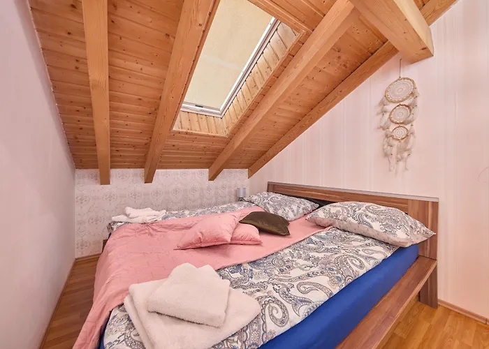 Design * 布拉迪斯拉发